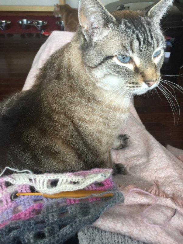 Noro Windowpane Scarf 5