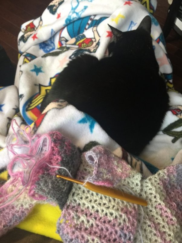 Crickets Infinity Scarf 4